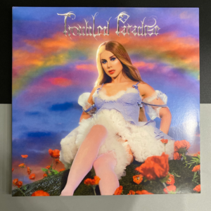 SLAYYYTER - TROUBLED PARADISE LP