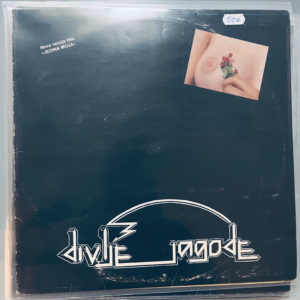 DIVLJE JAGODE - S/T LP