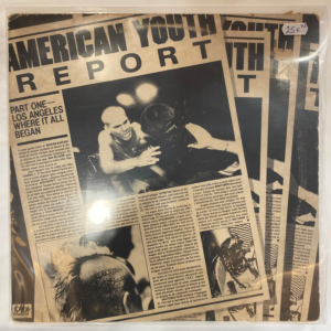 VARIOUS ARTISTS - AMERICAN YOUTH REPORT LP